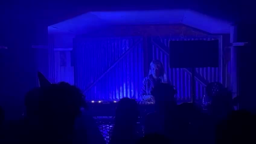 A DJ under blue light with the crowd in front of the stage